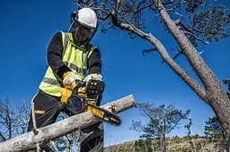 Пила ланцюгова акумуляторна 18В шина 30см 3/8" без АКБ та ЗП DeWALT teh0016710 - мініатюра 4