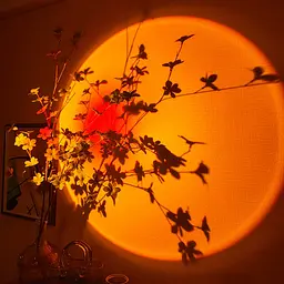 Проекційний світильник лампа для заходу сонця світанку RGB з пультом USB LED Lamp UKC Sunset Lamp F-20 - мініатюра 9