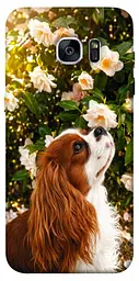 TPU чохол Demsky Flower spaniel для Samsung G935F Galaxy S7 Edge