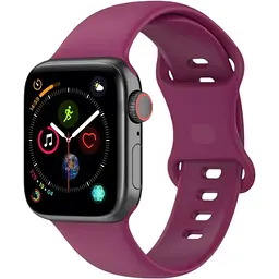 Ремінець DK CDK для Apple Watch 44mm (Series 4 / 5 / 6 / SE1 / SE2) M / L Silicone Band Double Loop