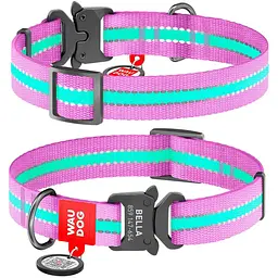 Нашийник для собак Waudog Nylon, світловідбивний, світлонакопичуючий, з QR паспортом, металева пряжка-фастекс, L, 31-49х2,5 см, фіолетовий - мініатюра 3