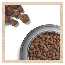 Сухий корм для собак Dog Chow Adult 1+, з ягням, 14 кг - мініатюра 7