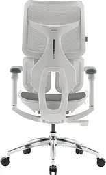 Крісло офісне Sihoo Doro S100 Mesh Білий (S100-M302)