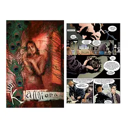 Комікс The Sandman. Пісочний чоловік. Том 3: Країна снів - Ніл Ґейман Видавництво РМ (9786178280918) - мініатюра 3