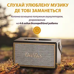 Портативна колонка OneDer D6BR D6 BT/TF/USB/AUX 40 Вт, коричнева - мініатюра 3