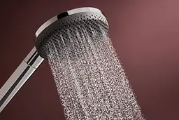 Ручний душ Hansgrohe Raindance Alive Select S EcoSmart chrome 24511000 - мініатюра 5