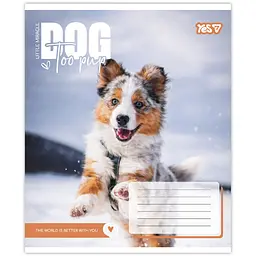 Зошит шкільний Yes Dog too pup А5 12 аркушів коса лінія 25 шт. (768733) - мініатюра 3