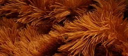 Великий ведмедик Alina Бублик 200 см коричневий - мініатюра 4