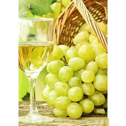 Саджанець Agro-Market Виноград жовтувато-зелений з коричневим загаром Челентано (Celentano) (преміальний соковитий винний сорт) 1 шт. в упаковці (44315) - мініатюра 3