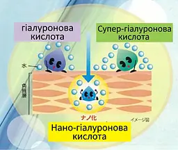 Японський лосьйон Hada Labo Gokujyun з 4 видами гіалуронової кислоти, 170 мл - мініатюра 3