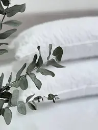 Подушка Ecotton 50х70 см подвійна з чохлом на блискавці із мікрофібри біла White (Novita) (23983) - мініатюра 3