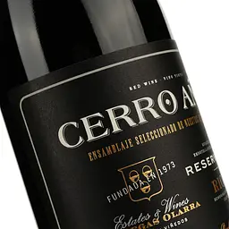 Вино Bodegas Olarra Cerro Anon Reserva, червоне, сухе, 14%, 0,75 л (7066) - мініатюра 3