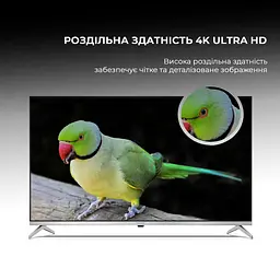 Телевізор SHARP 43GP6265E - мініатюра 4