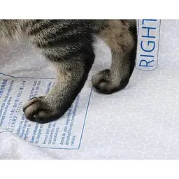 Змінна підкладка для наповнювача Petkit High Performance Cat Litter Pad Ultra (P99035) - мініатюра 6