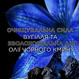 Балансуючий бальзам-ополіскувач Garnier Botanic Therapy Магнетичне вугілля, 200 мл - мініатюра 3