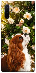TPU чохол Demsky Flower spaniel для Samsung Galaxy Note 10 Plus