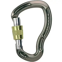 Карабін DMM Sentinel SG