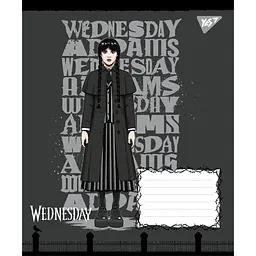 Упаковка зошитів Yes Wednesday: Школа Загадок учнівський 10 шт./48 кл. (768266) - мініатюра 6
