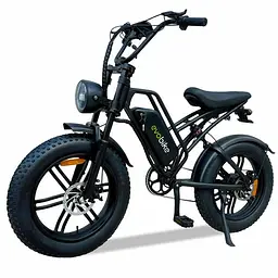 Електровелосипед Evobike e-Motion V9 (1000W 60V 21Ah)
