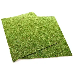 Фон з натурального моху Repti-Zoo Natural Moss Back & Bottom 50x25см 2 шт (NCM5025) для тераріуму - мініатюра 6