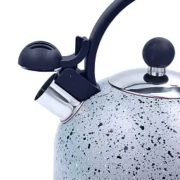 Чайник Gusto Геракл 2.5 л (GT-1414-25) - миниатюра 2
