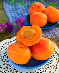 Саджанець Agro-Market Абрикос Флейвор Кот (літній сорт, пізній термін дозрівання) (44000) 1 шт. в упаковці - мініатюра 4