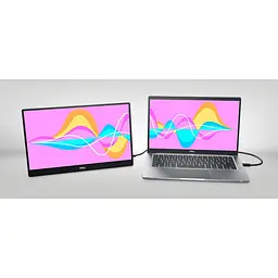 Портативний монітор Dell C1422H [210-AZZZ] [91497] - мініатюра 10