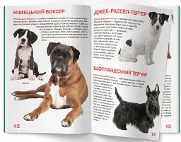 Велика книжка. Собаки - Олег Зав'язкин - мініатюра 5