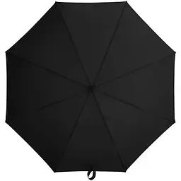 Парасолька DailyElements Automatic Umbrella (BHR7671CN) [174060] - мініатюра 2