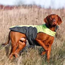 Flamingo Touchdog Coat фламінго ТАЧДог плащ-попона для собак xxxl 66х89х48 см