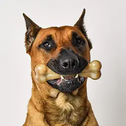 Жорстка нейлонова кістка для собак Pet Qwerks Flavor Farms Chew Toys з ароматом бекону
