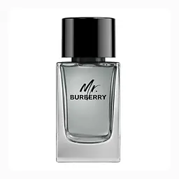 Туалетна вода Mr. 100 ml - мініатюра 2