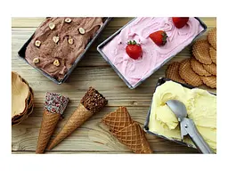 Йогуртница-мороженица Cuisinart Solo Scoops ICEM10E - миниатюра 4