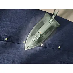Праска Electrolux E3SI1-2LG - мініатюра 9