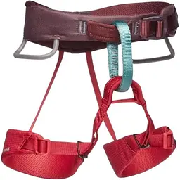 Страхувальна система Black Diamond Kids Momentum Wild Rose (1033-BD 651103.6012)