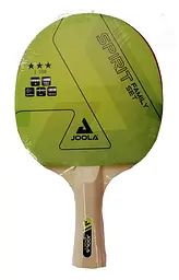 Набір для настільного тенісу Joola Family 4 Bats 10 Balls (54810) - мініатюра 4