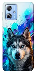TPU чохол Demsky Husky magic для Motorola Moto G84