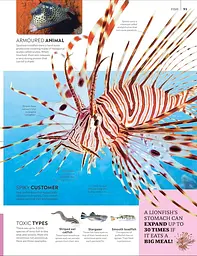 Eyewitness Encyclopedia of Animals - мініатюра 7