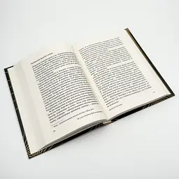 Як стати експертом. Шлях до майстерності Роджер Нібон Vivat, книга українською, нова, тверда - мініатюра 3