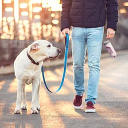 Пляшка для собак Els Pet 300 мл поїлка для води портативна в дорогу для вигулу Рожевий - мініатюра 9