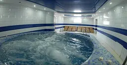 Гель для видалення вапняного нальоту в басейні Delphin Reiniger S, 1 л, проти кальцію - мініатюра 3
