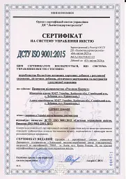Сироп Артишок – м’ята 100 мл Рослина Карпат - мініатюра 3