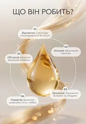 Шампунь Egg Oil відновлення, зволоження та блиск волосся White Mandarin Choice 250 мл - мініатюра 3
