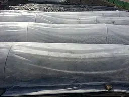 Агроволокно Greentex p-19, 1,6x100 м (30889) - мініатюра 4