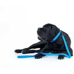 Повідець для собак Waudog Waterproof водостійкий L-XXL, блакитний - мініатюра 6