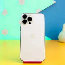 Смартфон Apple iPhone 13 Pro Max 1TB Silver (MLLL3) Б/В [169342]