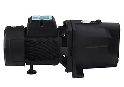 Насос поверхневий відцентровий Pumpman TJSW/10M Нmax 34 м Qmax 4,2 куб.м 0,75 кВт (CV029757) - мініатюра 3