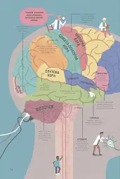 Неймовірна пригода бути людиною. Твоє надзвичайне тіло та як у ньому жити - Макс Пембертон - мініатюра 5