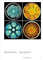 The Cosmic Dance. Finding Patterns and Pathways in a Chaotic Universe - мініатюра 11