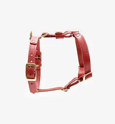 Шкіряна анатомічна шлея для собак "Classy" S червона (обхват грудини 34-48 см) - мініатюра 4